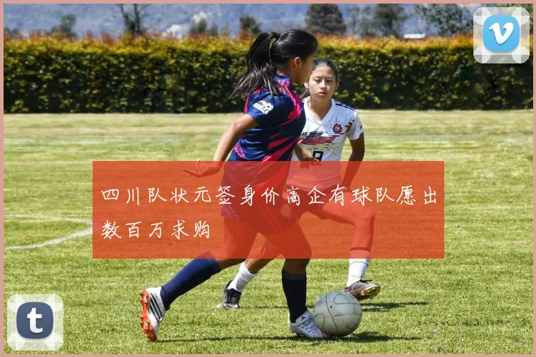 四川队状元签身价高企有球队愿出数百万求购